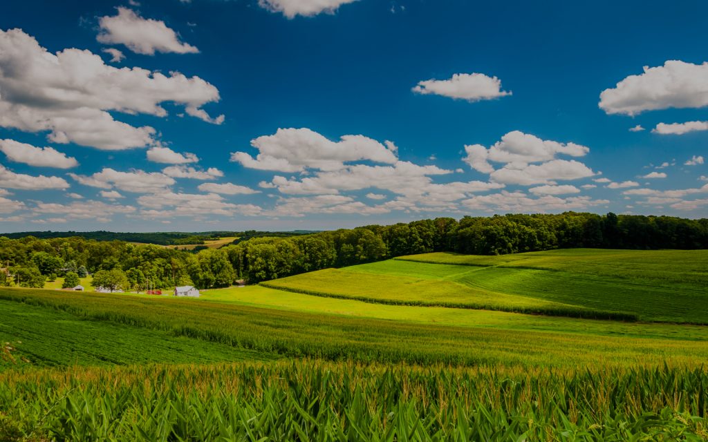 Rolling Wisconsin Farmland - City Waste Inc 